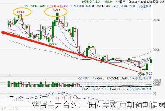 鸡蛋主力合约：低位震荡 中期预期偏弱