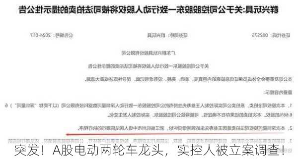 突发！A股电动两轮车龙头，实控人被立案调查！