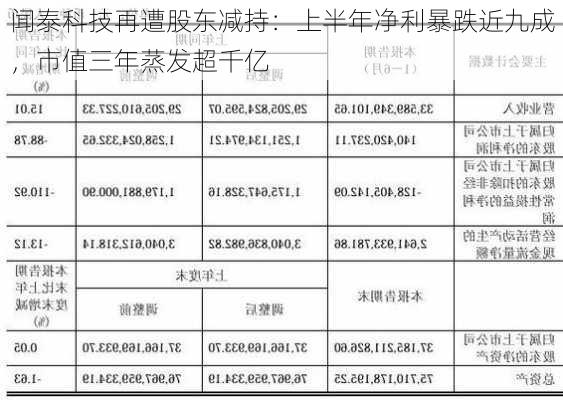 闻泰科技再遭股东减持：上半年净利暴跌近九成，市值三年蒸发超千亿