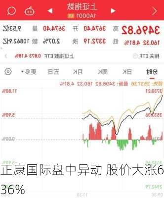 正康国际盘中异动 股价大涨6.36%