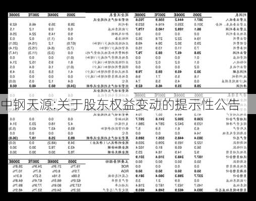 中钢天源:关于股东权益变动的提示性公告