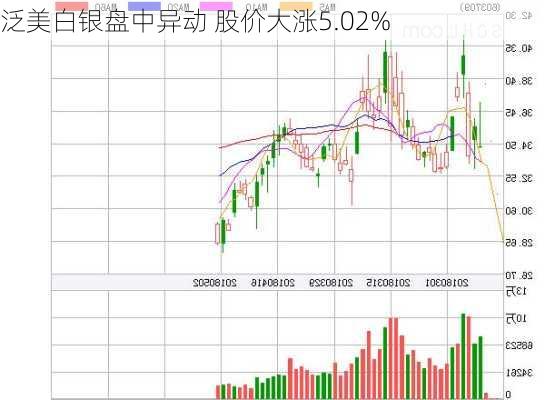 泛美白银盘中异动 股价大涨5.02%