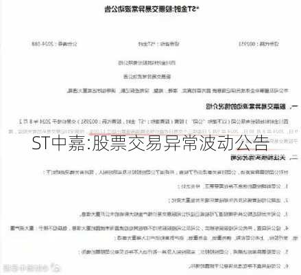 ST中嘉:股票交易异常波动公告