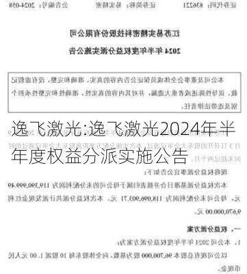 逸飞激光:逸飞激光2024年半年度权益分派实施公告