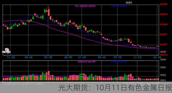 光大期货：10月11日有色金属日报