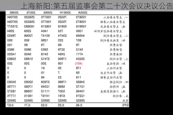 上海新阳:第五届监事会第二十次会议决议公告