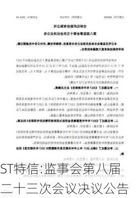 ST特信:监事会第八届二十三次会议决议公告