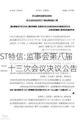 ST特信:监事会第八届二十三次会议决议公告