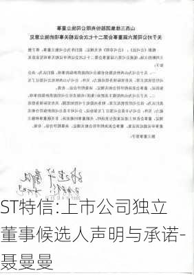 ST特信:上市公司独立董事候选人声明与承诺-聂曼曼