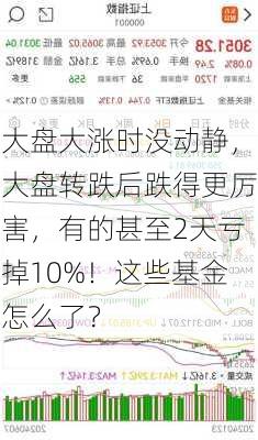 大盘大涨时没动静，大盘转跌后跌得更厉害，有的甚至2天亏掉10%！这些基金怎么了？