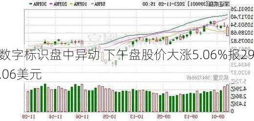 数字标识盘中异动 下午盘股价大涨5.06%报29.06美元