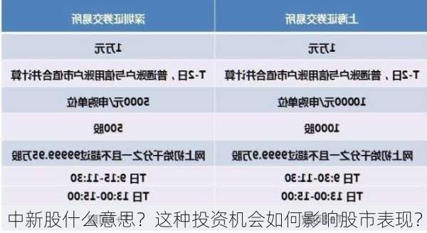 中新股什么意思？这种投资机会如何影响股市表现？