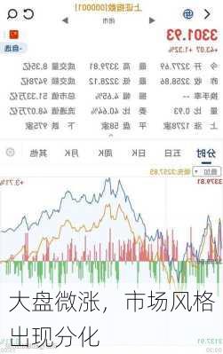 大盘微涨，市场风格出现分化