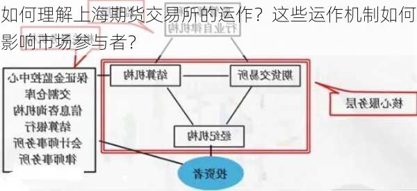 如何理解上海期货交易所的运作？这些运作机制如何影响市场参与者？