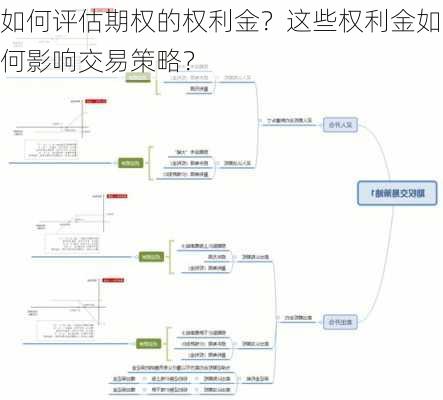 如何评估期权的权利金？这些权利金如何影响交易策略？