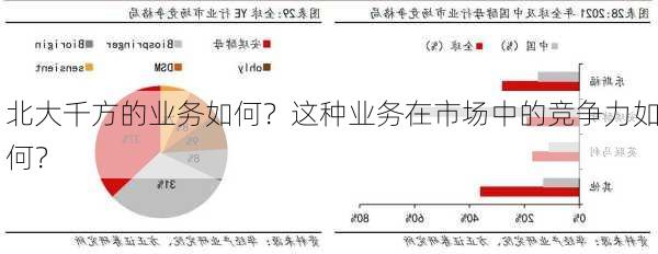 北大千方的业务如何？这种业务在市场中的竞争力如何？