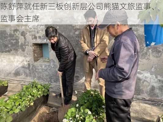 陈舒萍就任新三板创新层公司熊猫文旅监事、监事会主席