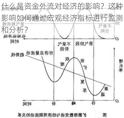 什么是资金外流对经济的影响？这种影响如何通过宏观经济指标进行监测和分析？