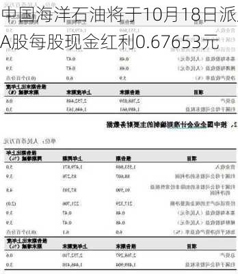 中国海洋石油将于10月18日派发A股每股现金红利0.67653元