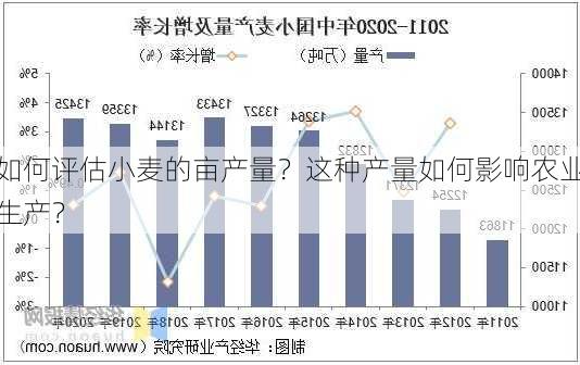 如何评估小麦的亩产量？这种产量如何影响农业生产？