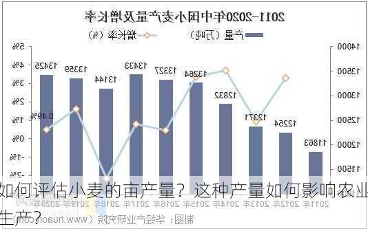 如何评估小麦的亩产量？这种产量如何影响农业生产？