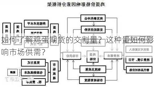 如何了解鸡蛋期货的交割量？这种量如何影响市场供需？