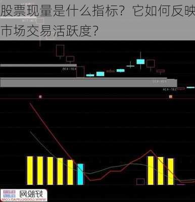 股票现量是什么指标？它如何反映市场交易活跃度？