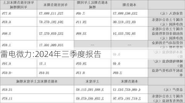 雷电微力:2024年三季度报告