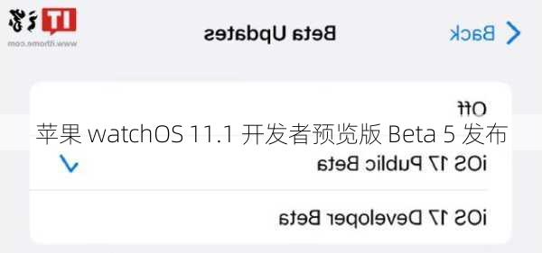 苹果 watchOS 11.1 开发者预览版 Beta 5 发布