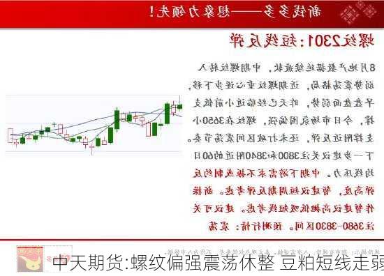 中天期货:螺纹偏强震荡休整 豆粕短线走弱