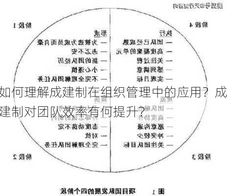 如何理解成建制在组织管理中的应用？成建制对团队效率有何提升？