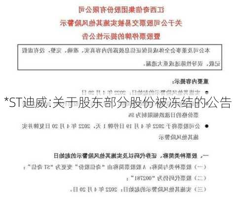 *ST迪威:关于股东部分股份被冻结的公告