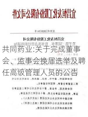 共同药业:关于完成董事会、监事会换届选举及聘任高级管理人员的公告