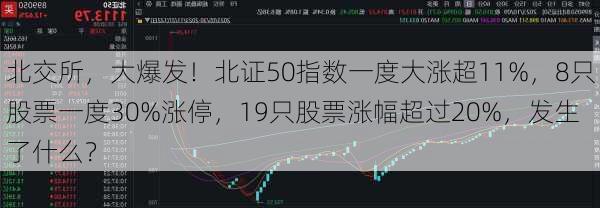 北交所，大爆发！北证50指数一度大涨超11%，8只股票一度30%涨停，19只股票涨幅超过20%，发生了什么？