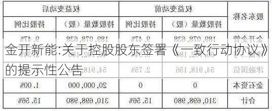 金开新能:关于控股股东签署《一致行动协议》的提示性公告