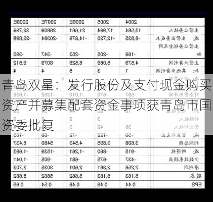 青岛双星：发行股份及支付现金购买资产并募集配套资金事项获青岛市国资委批复