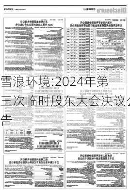 雪浪环境:2024年第三次临时股东大会决议公告