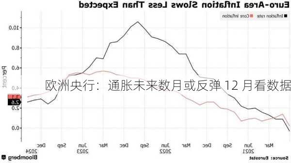 欧洲央行：通胀未来数月或反弹 12 月看数据