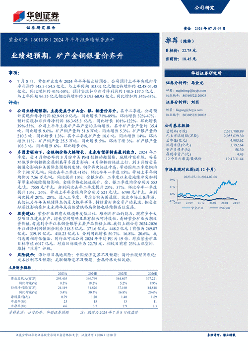 紫金矿业(601899)：业绩兑现能力较强 资源再下一城