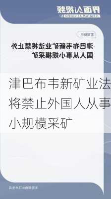 津巴布韦新矿业法将禁止外国人从事小规模采矿