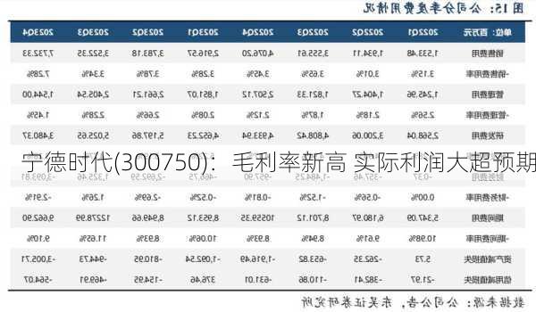 宁德时代(300750)：毛利率新高 实际利润大超预期