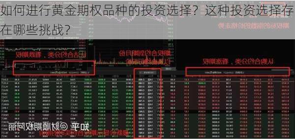 如何进行黄金期权品种的投资选择？这种投资选择存在哪些挑战？