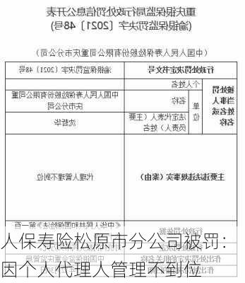 人保寿险松原市分公司被罚：因个人代理人管理不到位