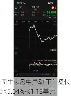 瑞图生态盘中异动 下午盘快速跳水5.04%报1.13美元