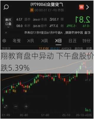 丽翔教育盘中异动 下午盘股价大跌5.39%