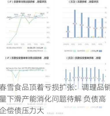 春雪食品顶着亏损扩张：调理品销量下滑产能消化问题待解 负债高企偿债压力大