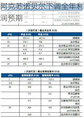 阿克苏诺贝尔下调全年利润预期