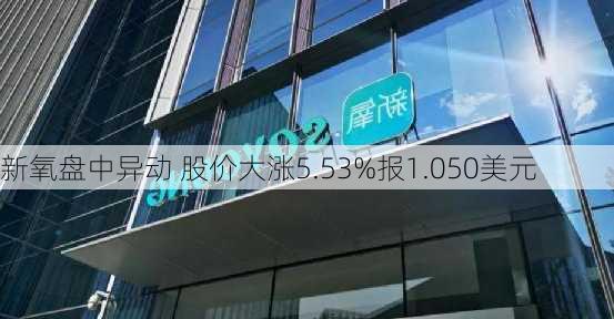 新氧盘中异动 股价大涨5.53%报1.050美元