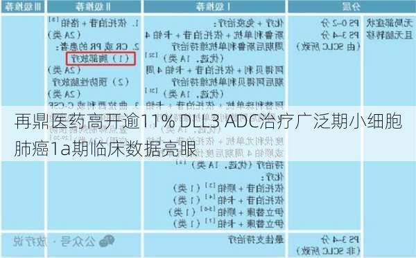 再鼎医药高开逾11% DLL3 ADC治疗广泛期小细胞肺癌1a期临床数据亮眼