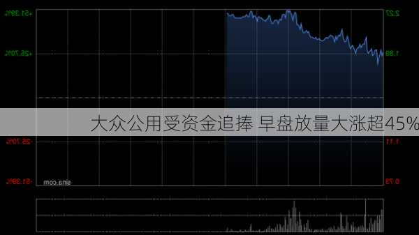 大众公用受资金追捧 早盘放量大涨超45%